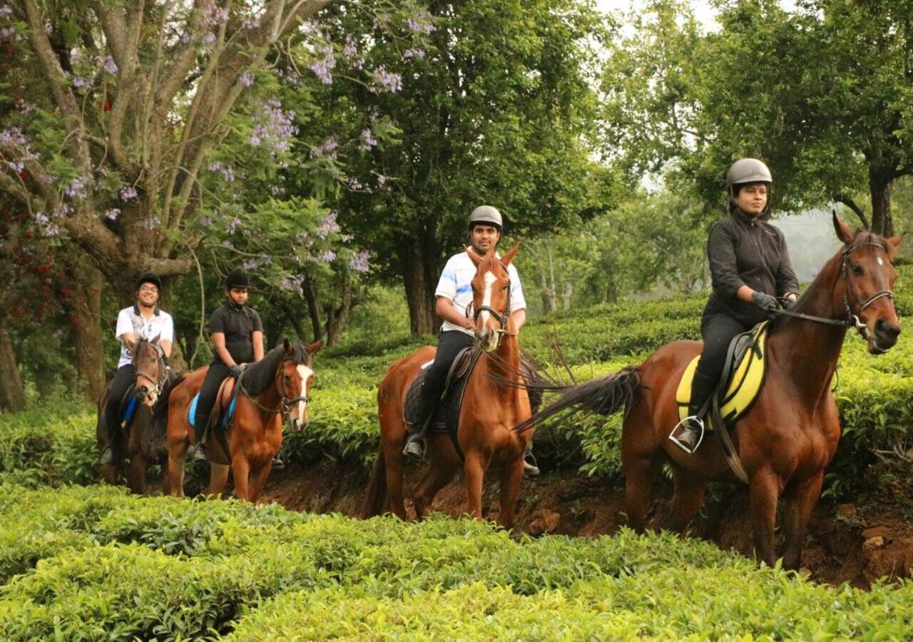 Sleeping Beauty By Nature Resorts And Stays Coonoor Eksteriør billede